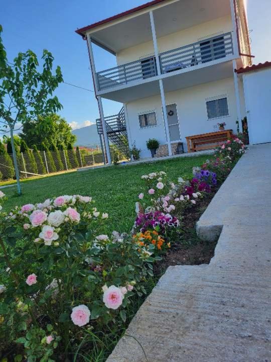Countryside Apartments First Floor Tríkala エクステリア 写真